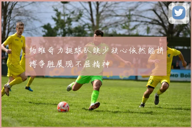 约维奇力挺球队缺少核心依然能拼搏争胜展现不屈精神